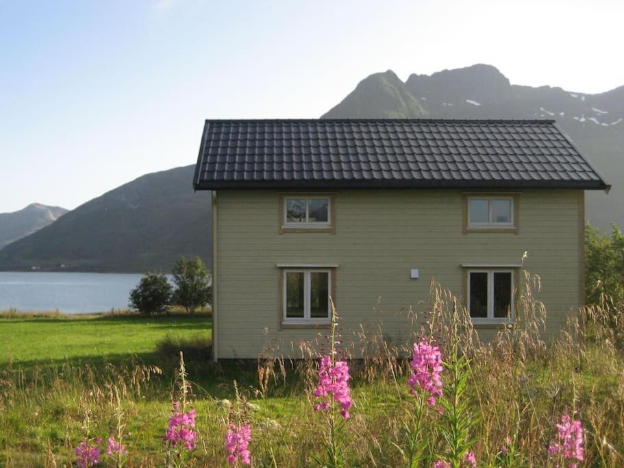 Laupstad Charming House By The Sea, Lofoten! מראה חיצוני תמונה