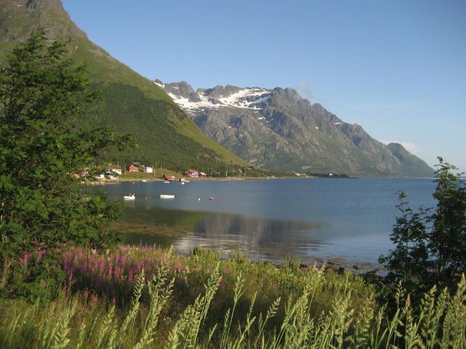 Laupstad Charming House By The Sea, Lofoten! מראה חיצוני תמונה